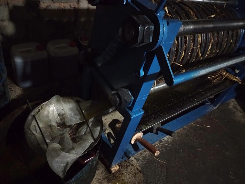 野生茶油