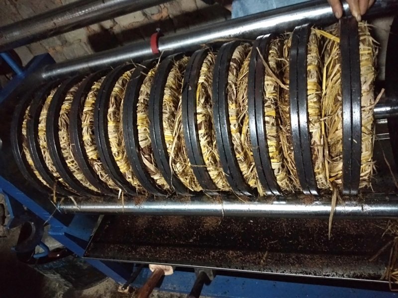 野生茶油