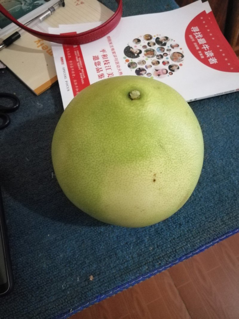柚子