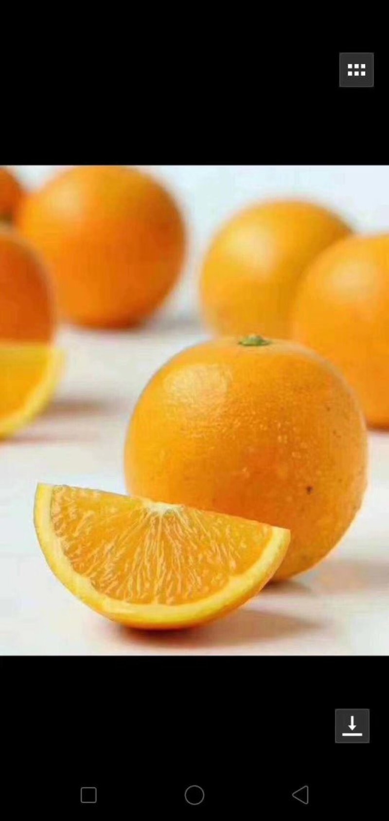 黔阳冰糖橙