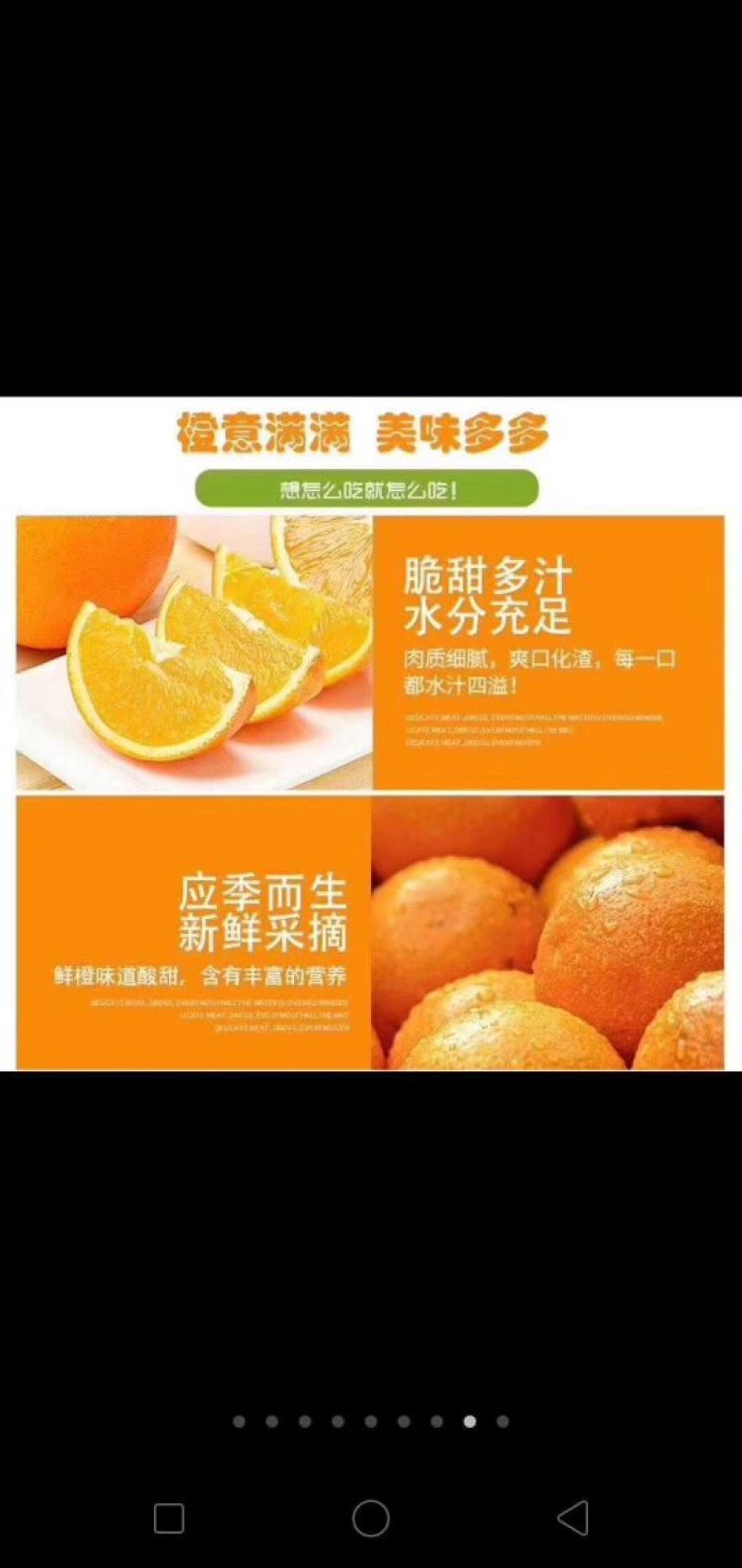 黔阳冰糖橙