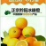 黔阳冰糖橙