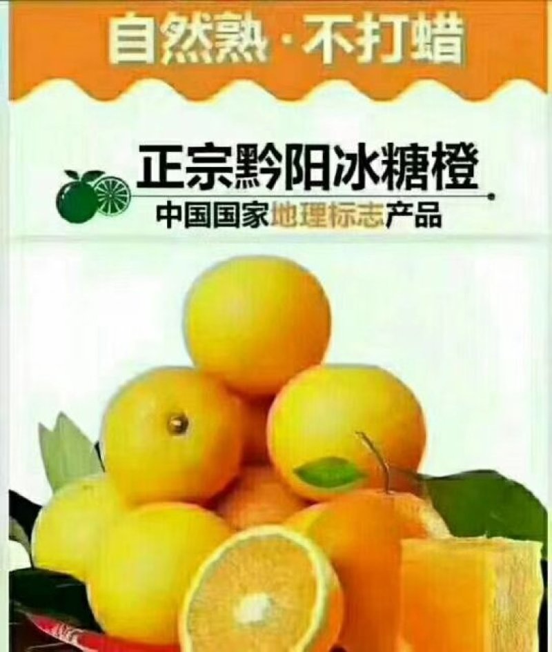 黔阳冰糖橙