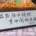 黔阳冰糖橙