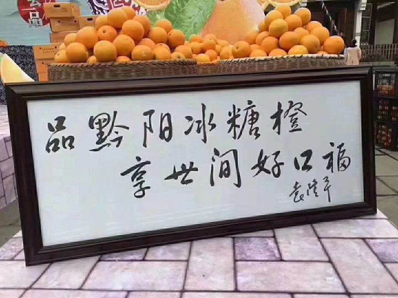 黔阳冰糖橙