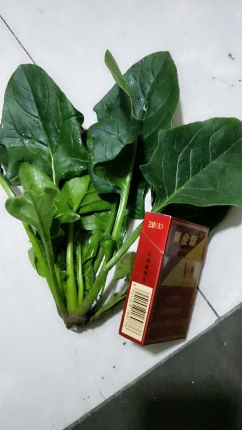 供应