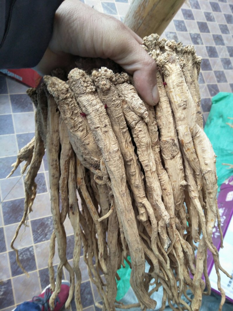 白条党参干货特大条，价格合理，欢迎来电
