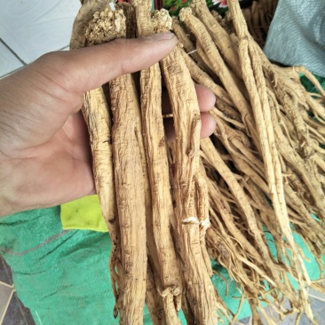 白条党参干货特大条，价格合理，欢迎来电