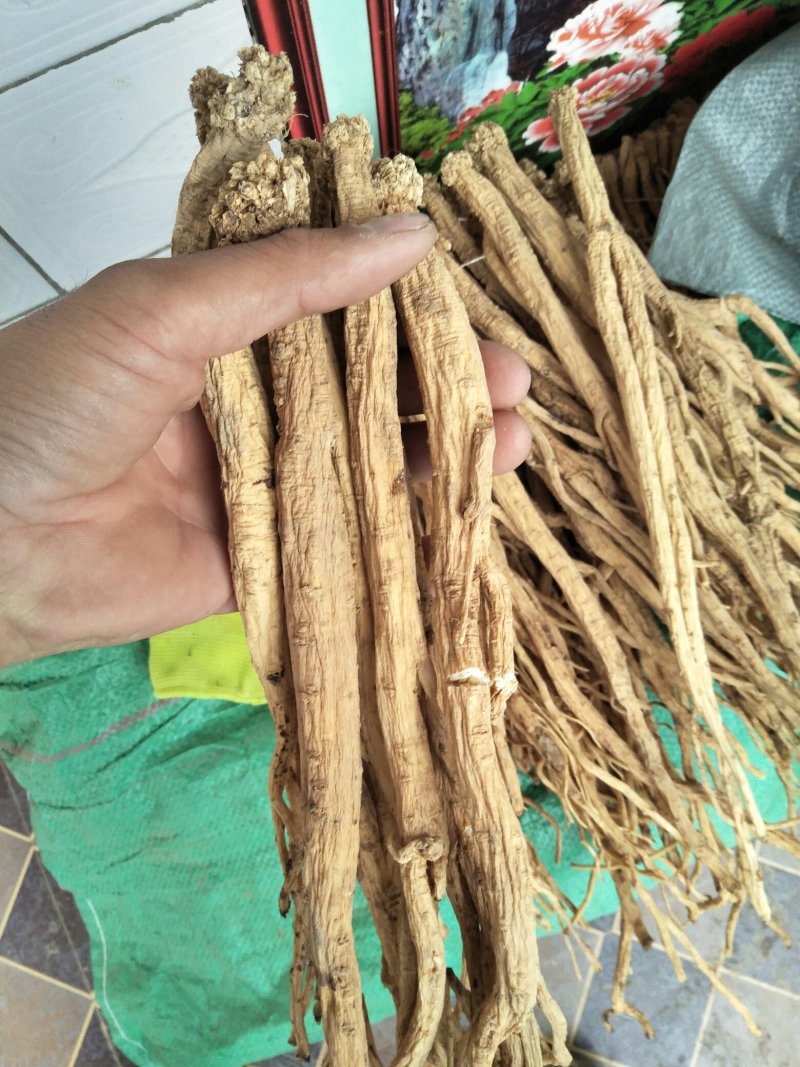 白条党参干货特大条，价格合理，欢迎来电