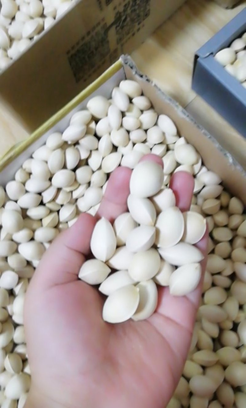 白果