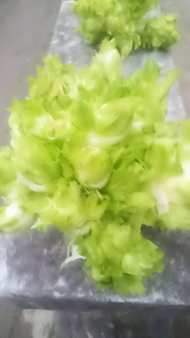 儿菜