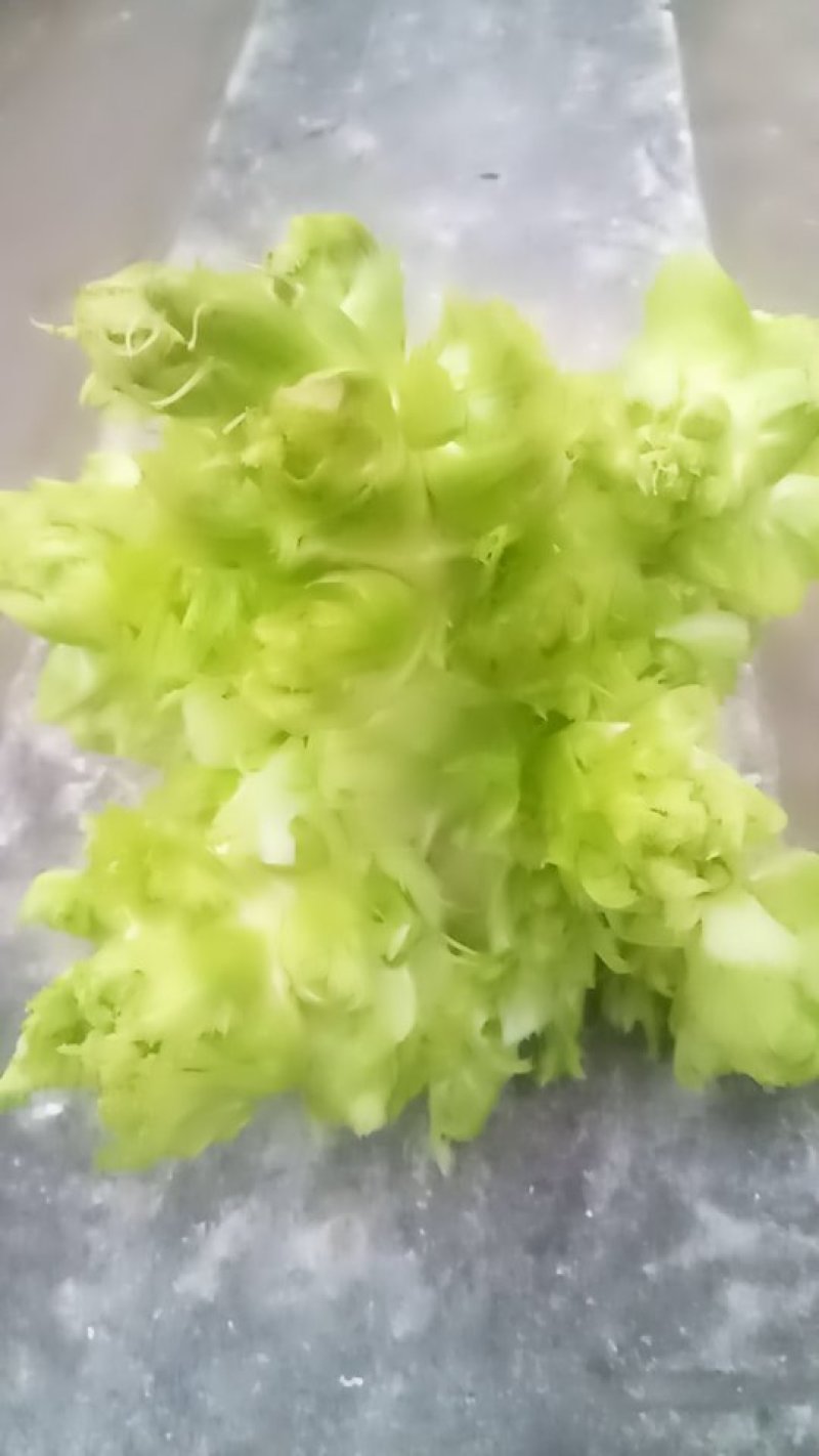 儿菜