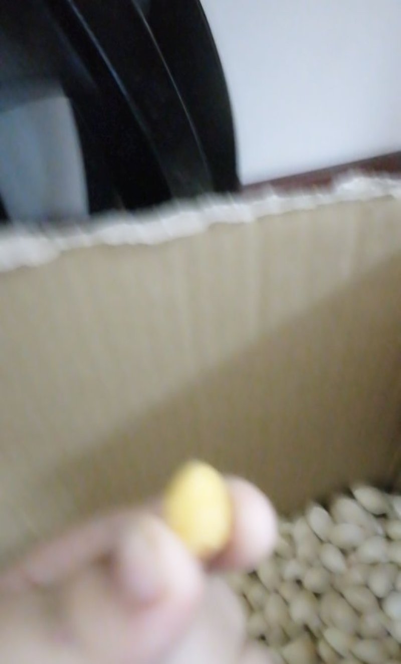 白果