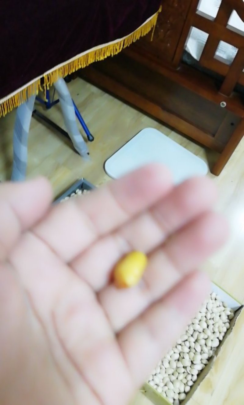 白果