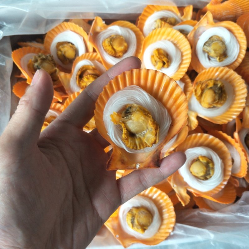 粉丝黄金贝