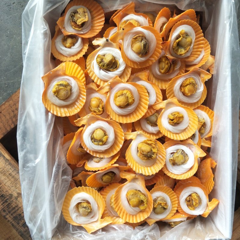 粉丝黄金贝