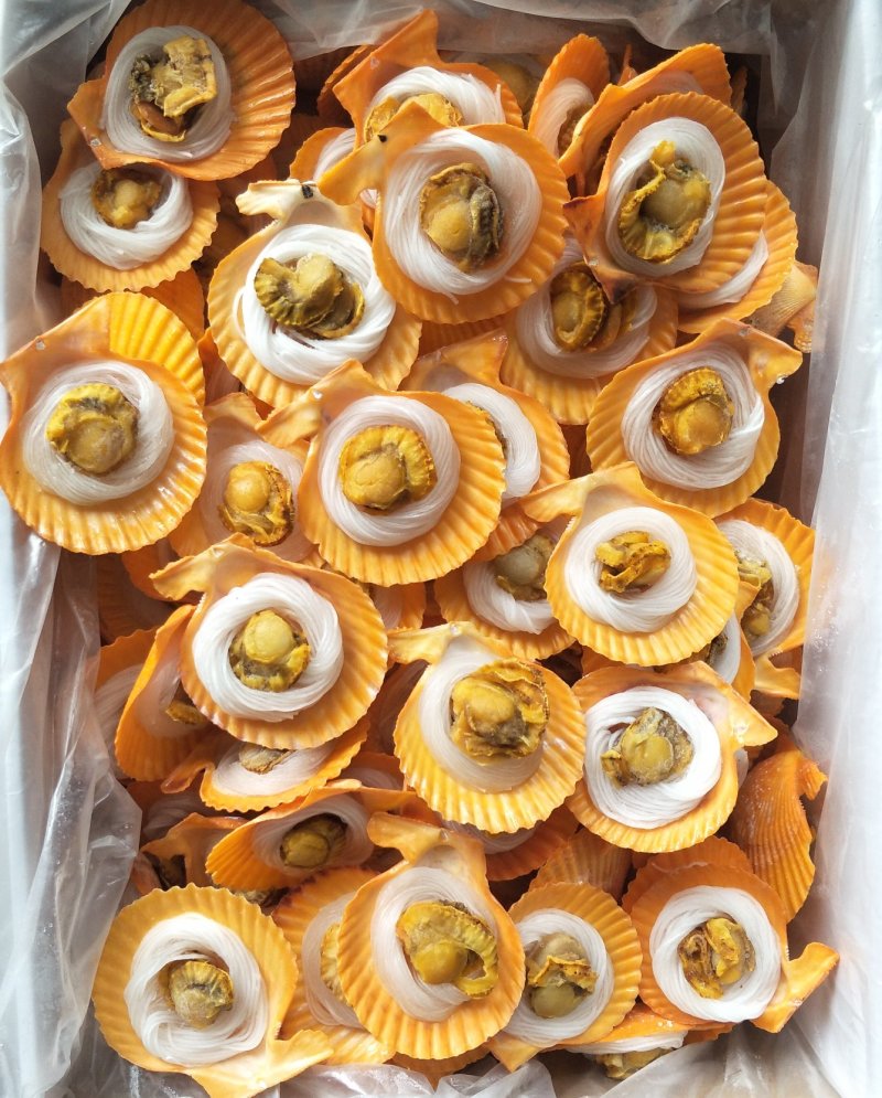 粉丝黄金贝