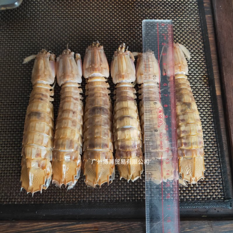 濑尿虾