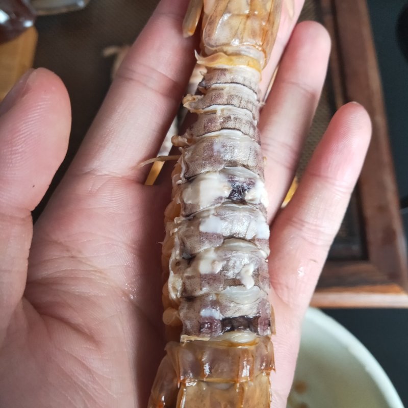 濑尿虾