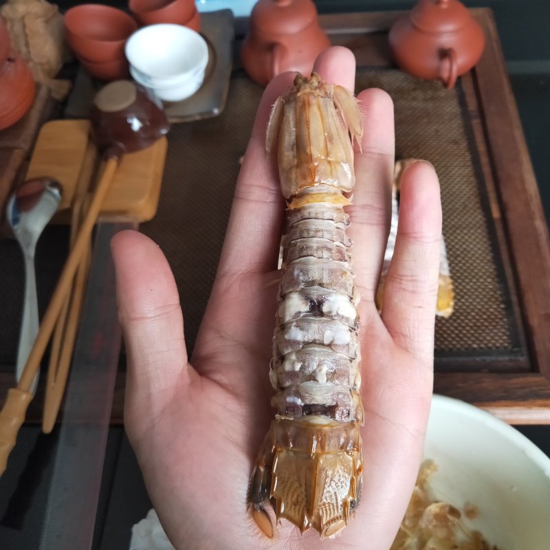 濑尿虾