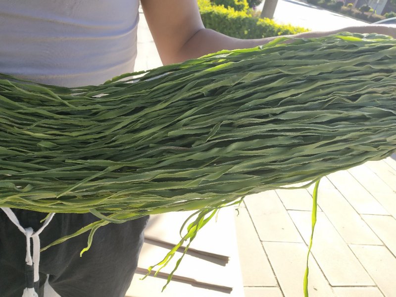 贡菜