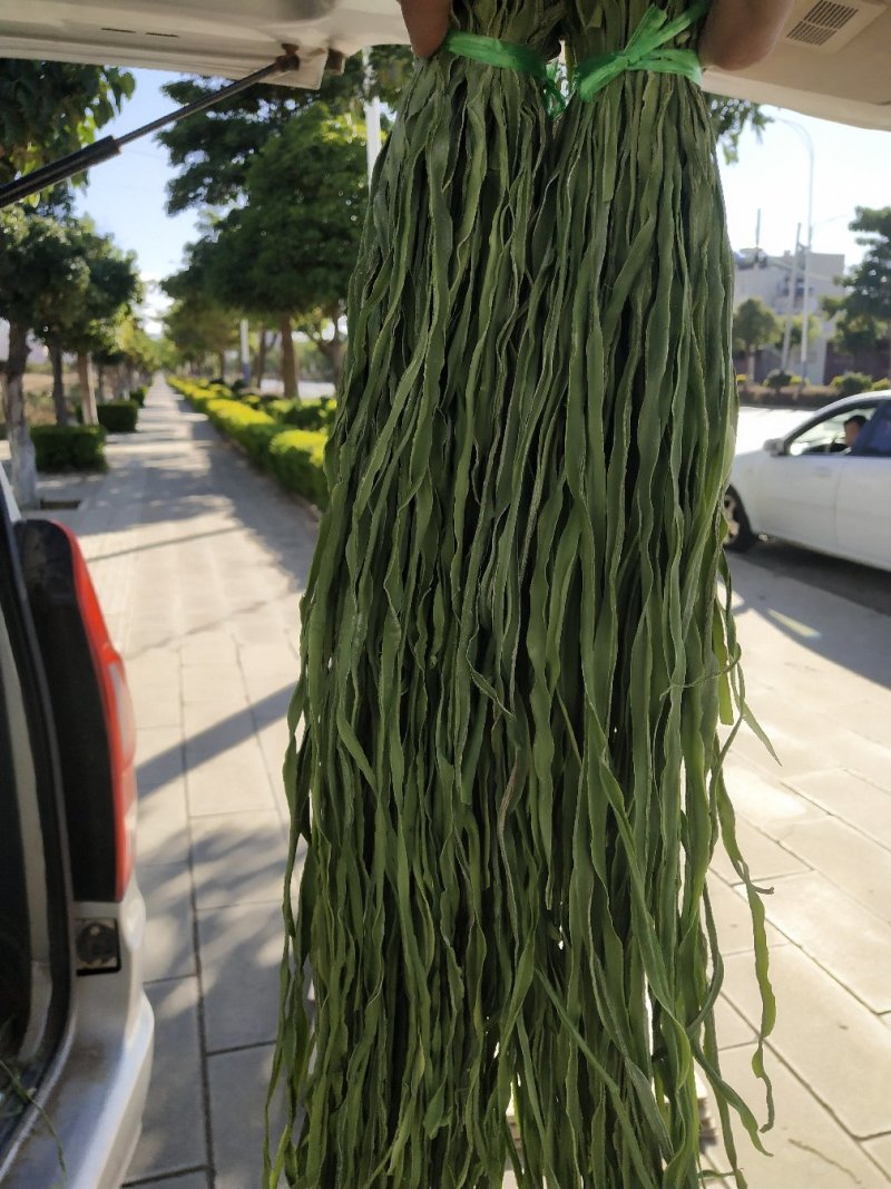 贡菜