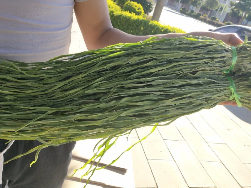 贡菜