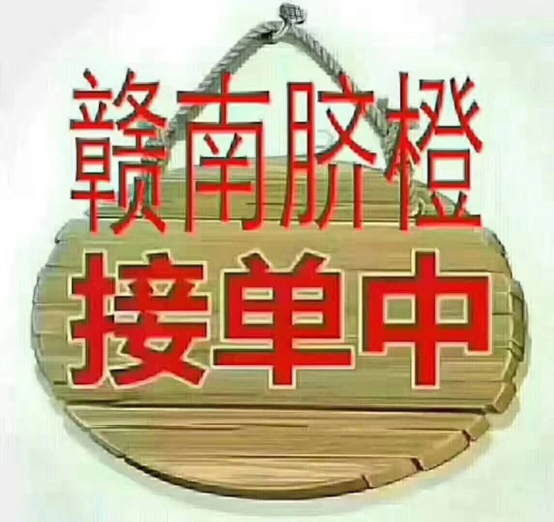赣南脐橙招代理批发零售好吃水多支持一件代发