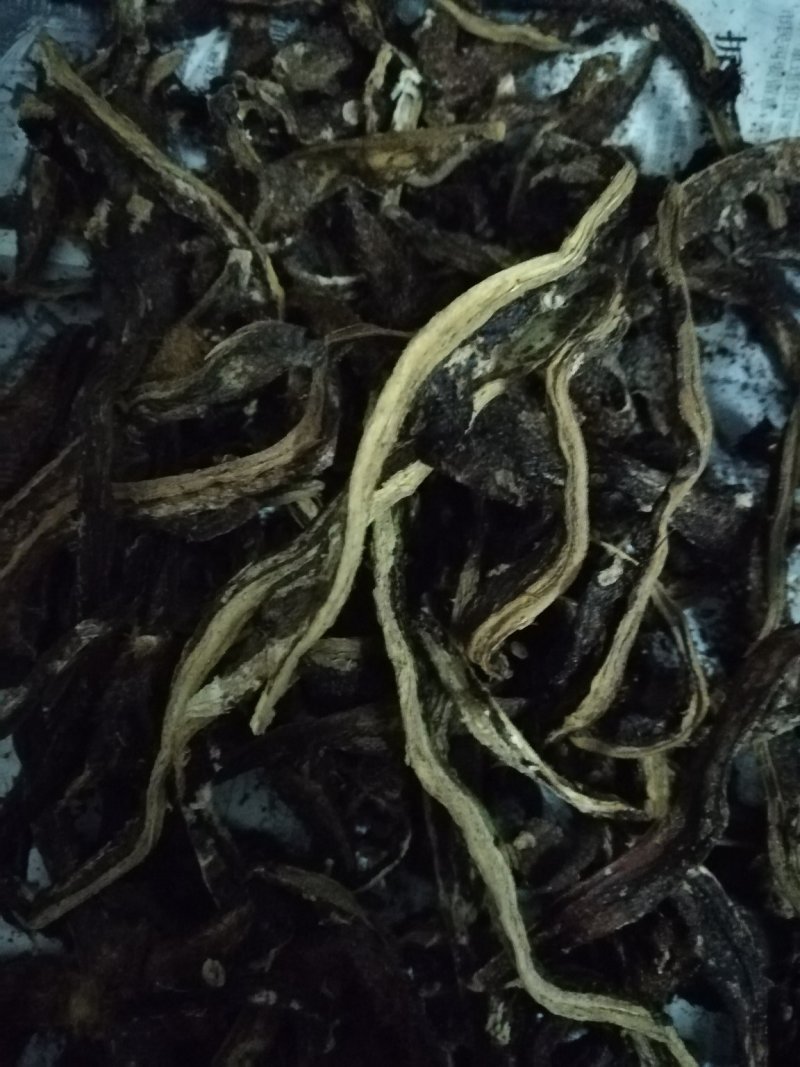 骨碎补鲜货5元一斤