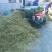 高效率粉碎机玉米秸秆切碎机皇竹草粉碎揉丝机大产量