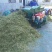 高效率粉碎机玉米秸秆切碎机皇竹草粉碎揉丝机大产量