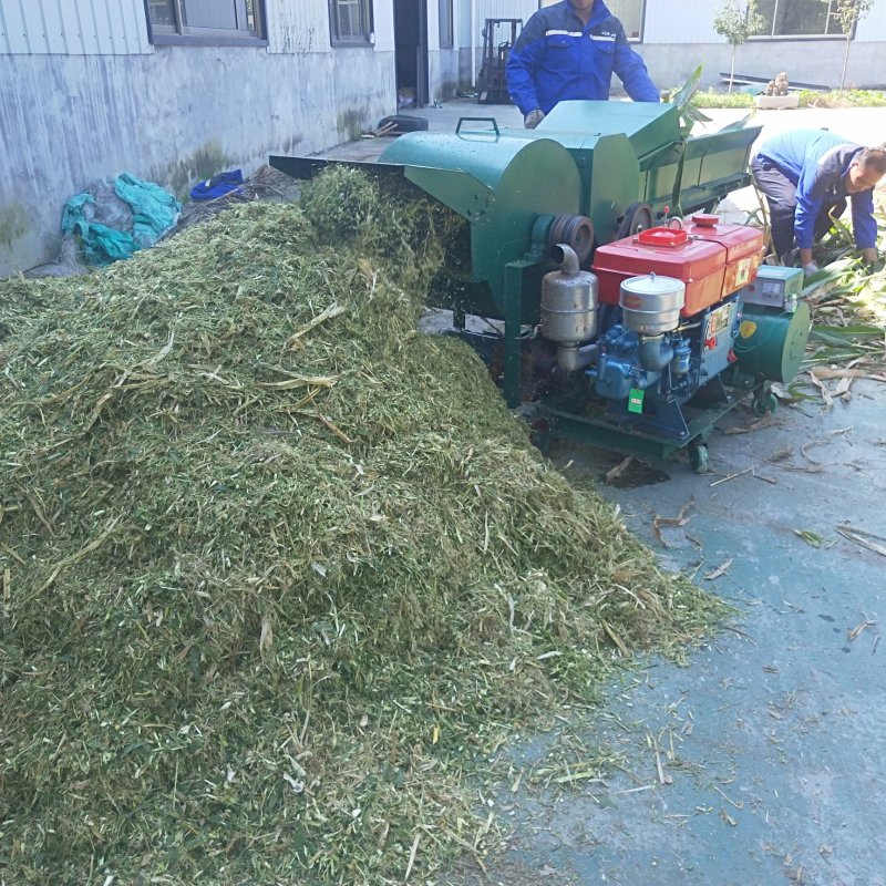 高效率粉碎机玉米秸秆切碎机皇竹草粉碎揉丝机大产量
