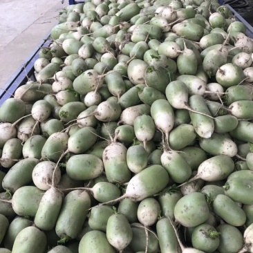 花菜，萝卜，包菜，
