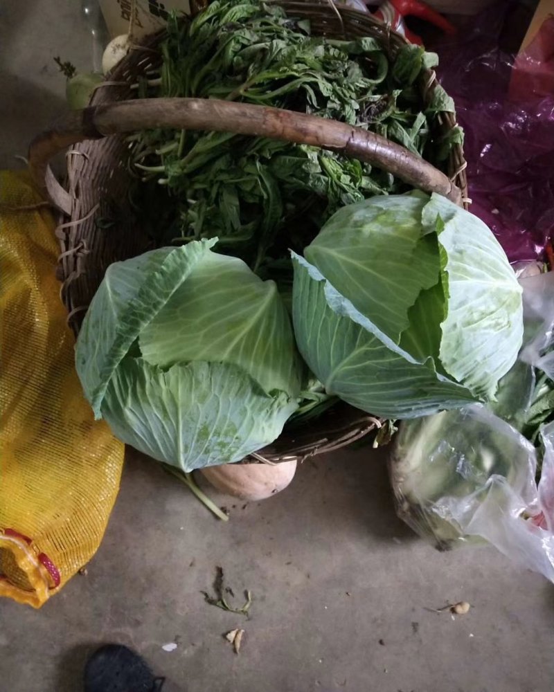 花菜，萝卜，包菜，