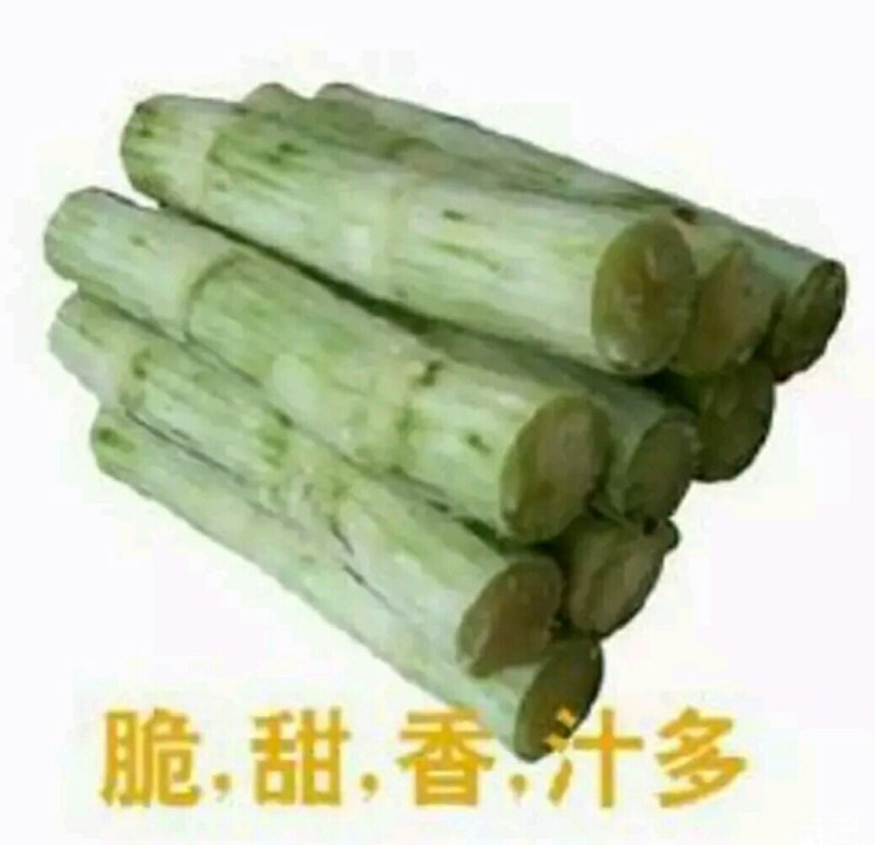 农家特色，青皮甘蔗，清甜爽口