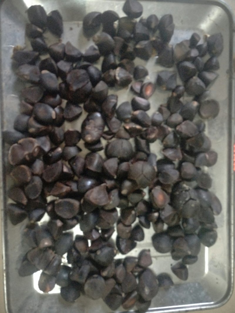 野生茶籽，老树三角茶。