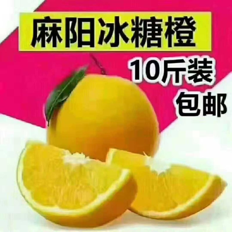 冰糖橙