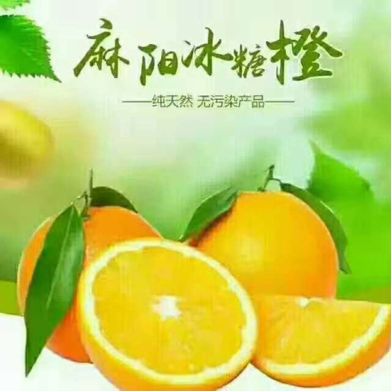 冰糖橙
