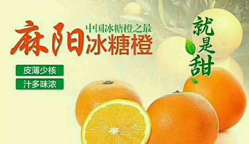 冰糖橙