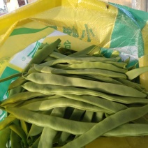 豆类