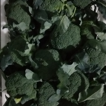 精品西兰花0.8~1.2斤批发市场商超耐寒优秀西兰花