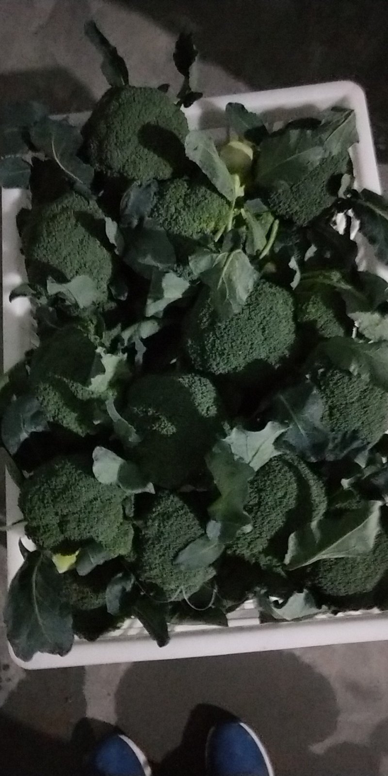 精品西兰花0.8~1.2斤批发市场商超耐寒优秀西兰花