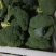 精品西兰花0.8~1.2斤批发市场商超耐寒优秀西兰花