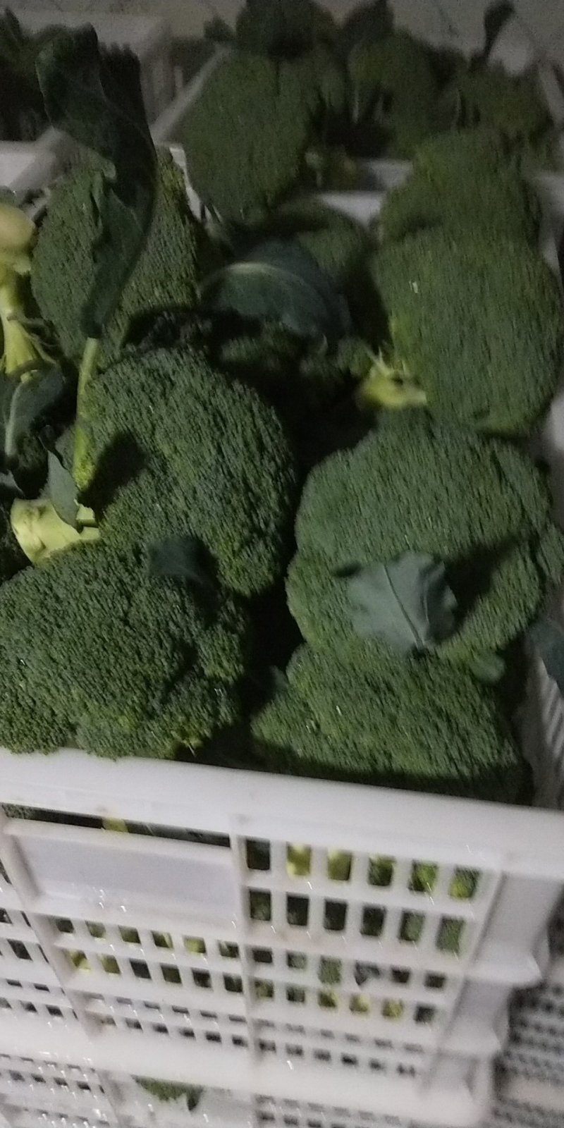 精品西兰花0.8~1.2斤批发市场商超耐寒优秀西兰花