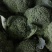 精品西兰花0.8~1.2斤批发市场商超耐寒优秀西兰花