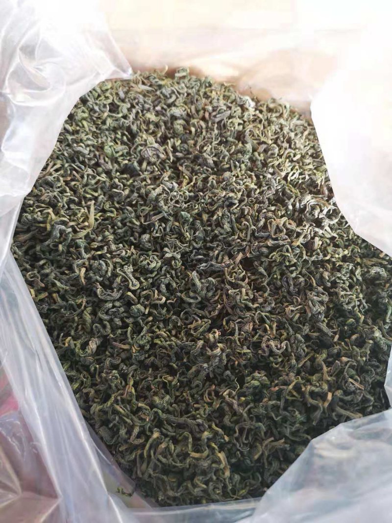 特级蒲公英根茶，小叶茶