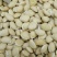 白扁豆颗粒饱满颜色白光滑