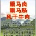 新疆正宗伊犁熏马肠熏马肉