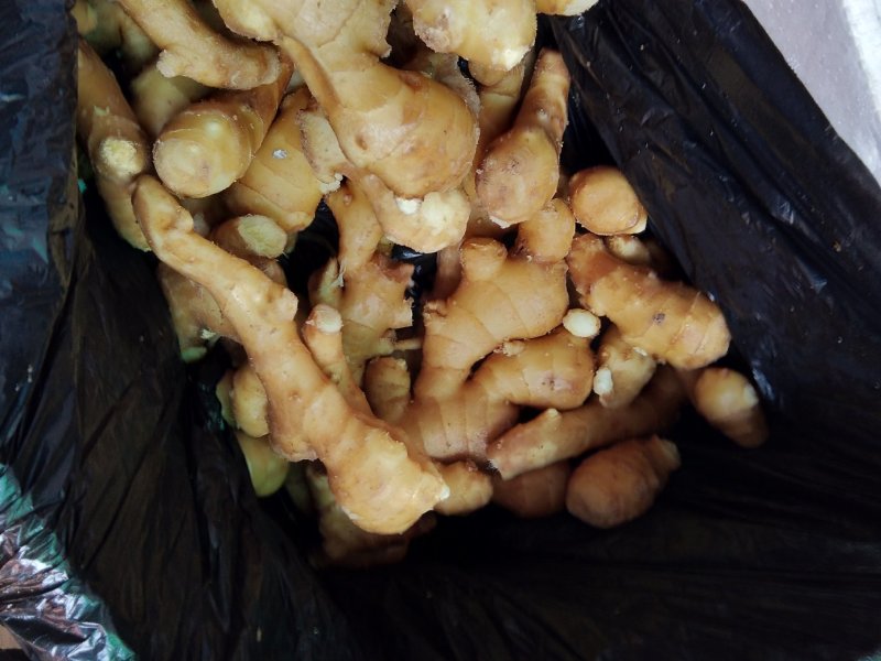 大黄老姜