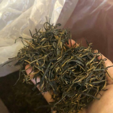红茶滇红二级理条大叶红茶滇红茶普洱茶